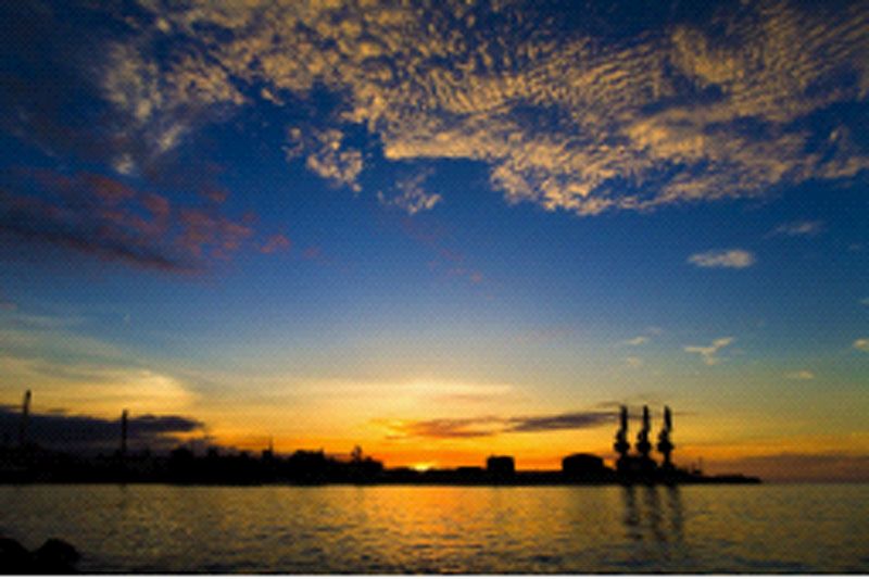 W020241121375650681831