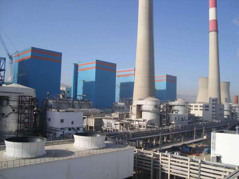 W020241119527169630406