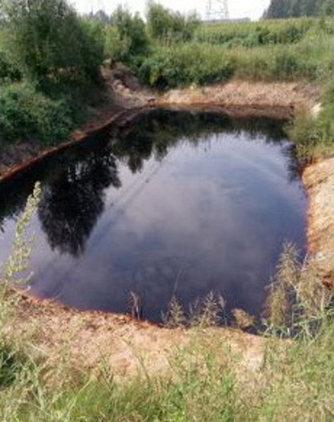 P020241220366884695587