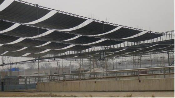 W020241119526079129789